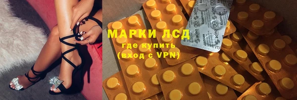 ГАЛЛЮЦИНОГЕННЫЕ ГРИБЫ Алагир