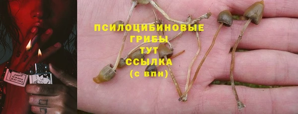 прущие крисы Навашино