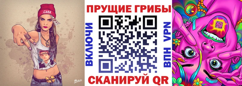 Псилоцибиновые грибы ЛСД  где продают наркотики  Ленинградская 