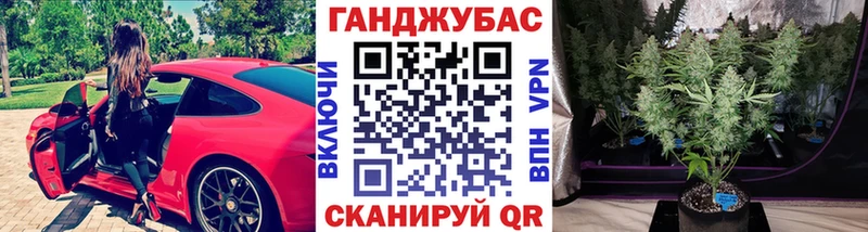 хочу наркоту  Ленинградская  Шишки марихуана планчик 